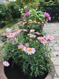 Dine egne behov tæller også