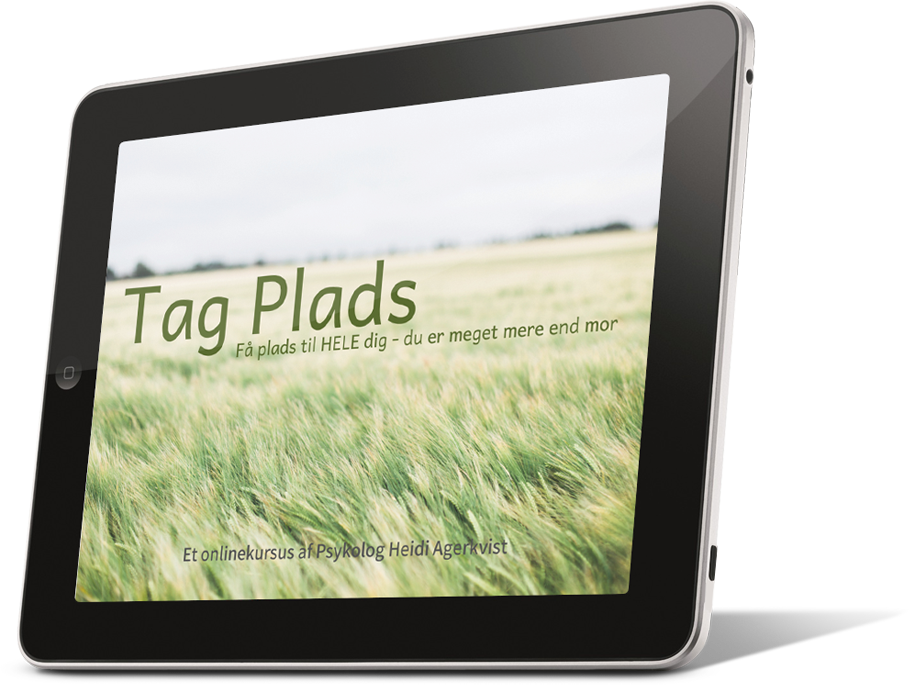 Tag Plads onlinekursus