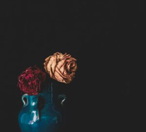 Det vi ikke prioriterer visner